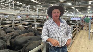 Dennis Heywood, Glenlock, Everton, yarded 780 cattle in total at the first Wangaratta weaner sale.
