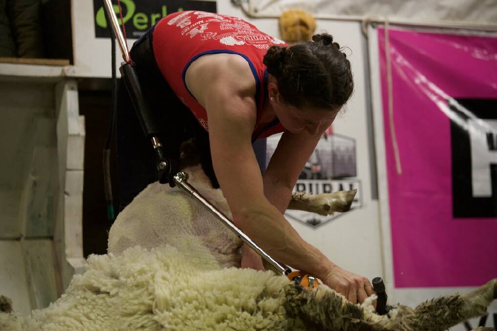 Jeanine Kimm attempting the first ever women's world record for an eight-hour Merino ewe shear. Picture by Chloe Whitfield CCG Photography. 