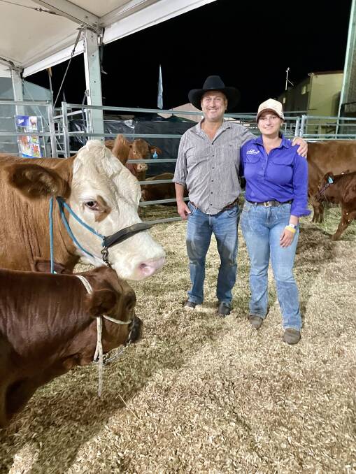 Paul Laycock and his daughter, Steph, with some of the cattle they purchased at the Savannah Simmentals and Simbrays Rocky Red Sale. Picture: Judith Maizey