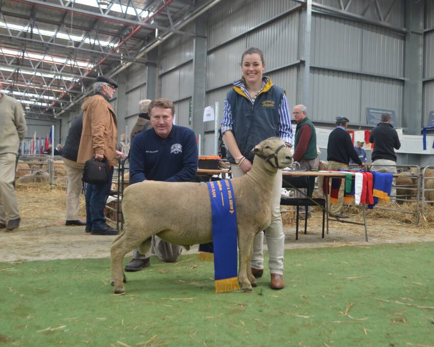 Judge Greg Skeggs, Tasman Peninsular, Tasmania, with champion Southdown ram paraded by Katie McCartney, Yentrac stud, Tatura. Mr Skeggs said: “The champion ram handled well. He is a well muscled sheep, with good colour and not too dark, all good breed characteristics.”