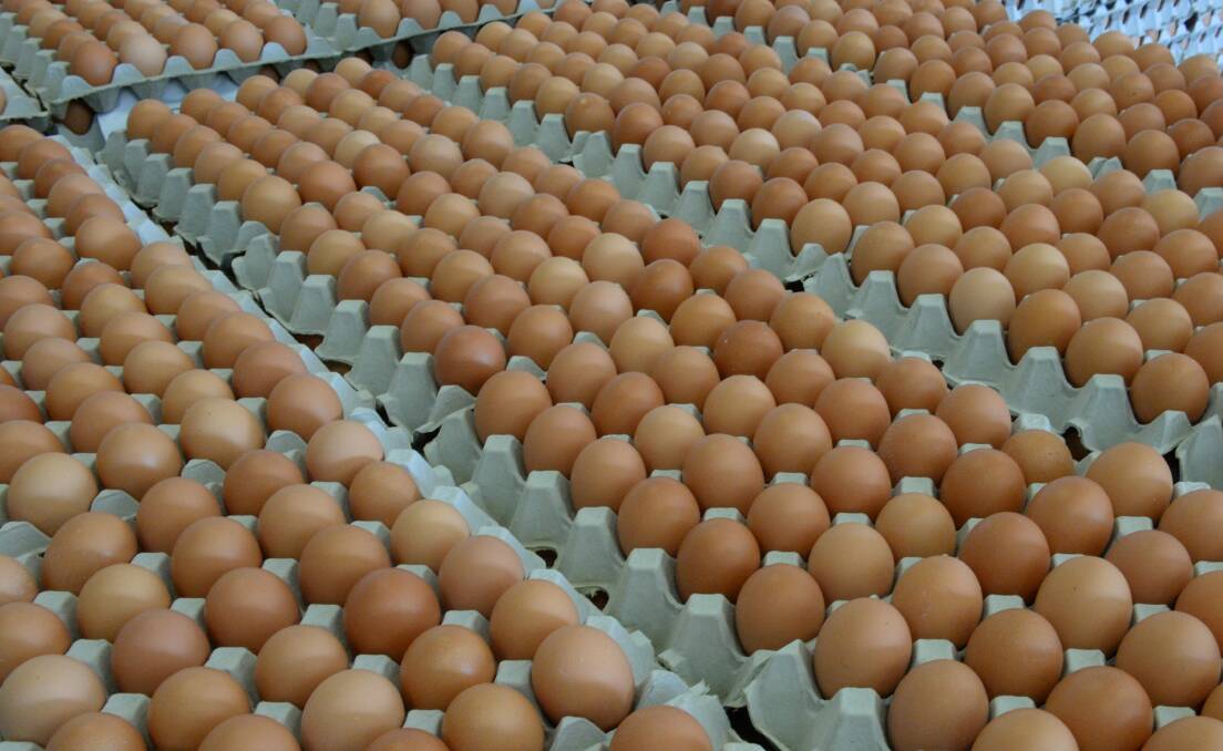 About 56pc of all eggs consumed originate from caged hens, including those used by food processors, restaurants and cafes.
