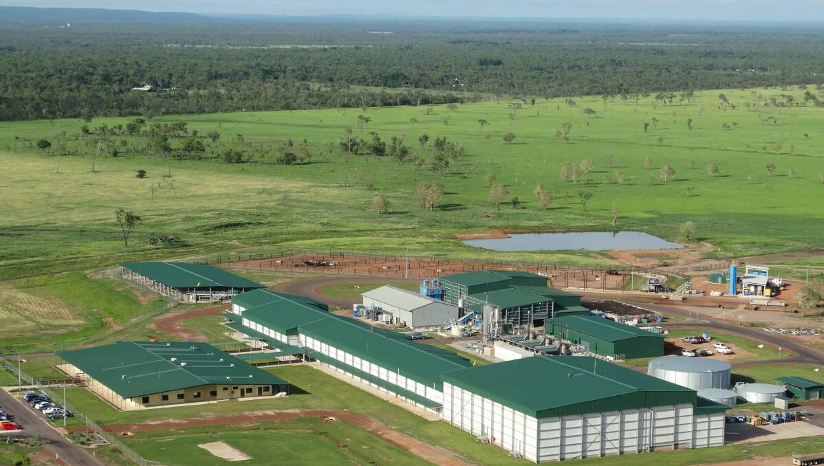 AACo's Darwin meat processing plant.