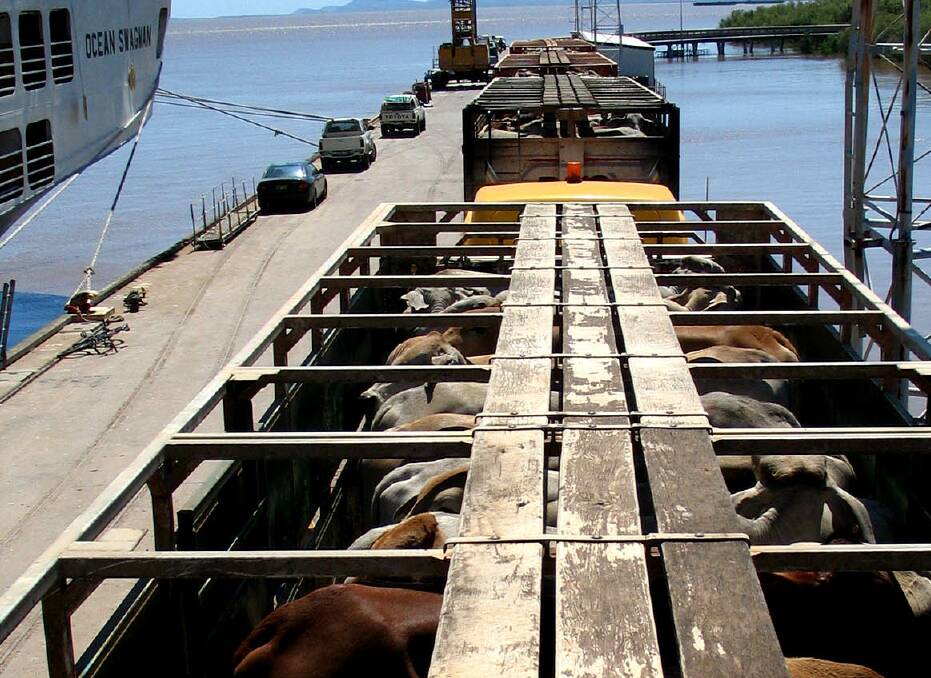 Ruralco’s live export business Frontier will cease further supply of feeder and slaughter cattle into Vietnam while federal government investigations into alleged animal cruelty in abattoirs continue.