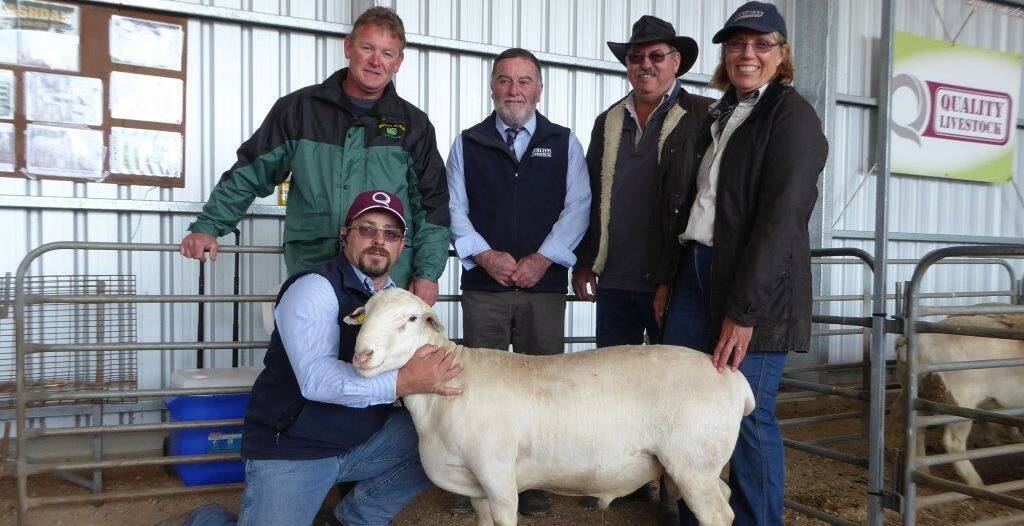 TOTAL CLEARANCE: Quality Livestock's Nigel 'Scrub' O'Brien holds the $3000 top price ram, with buyer Darren Borlase, Quality Livestock auctioneer Peter Reichstein and stud principals Gary and Janice Fiegert.