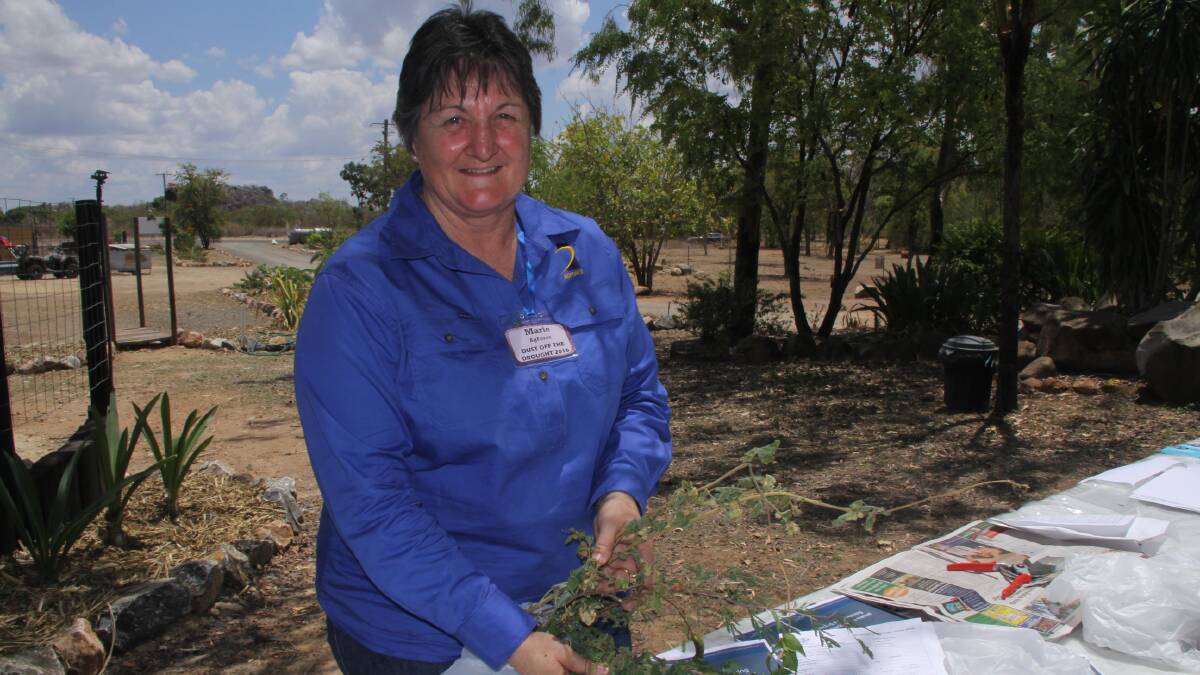 Weed Watch: AgForce's Marie Vitelli presented a weed identification session at the Dust off the Drought event in Chillagoe at the weekend.