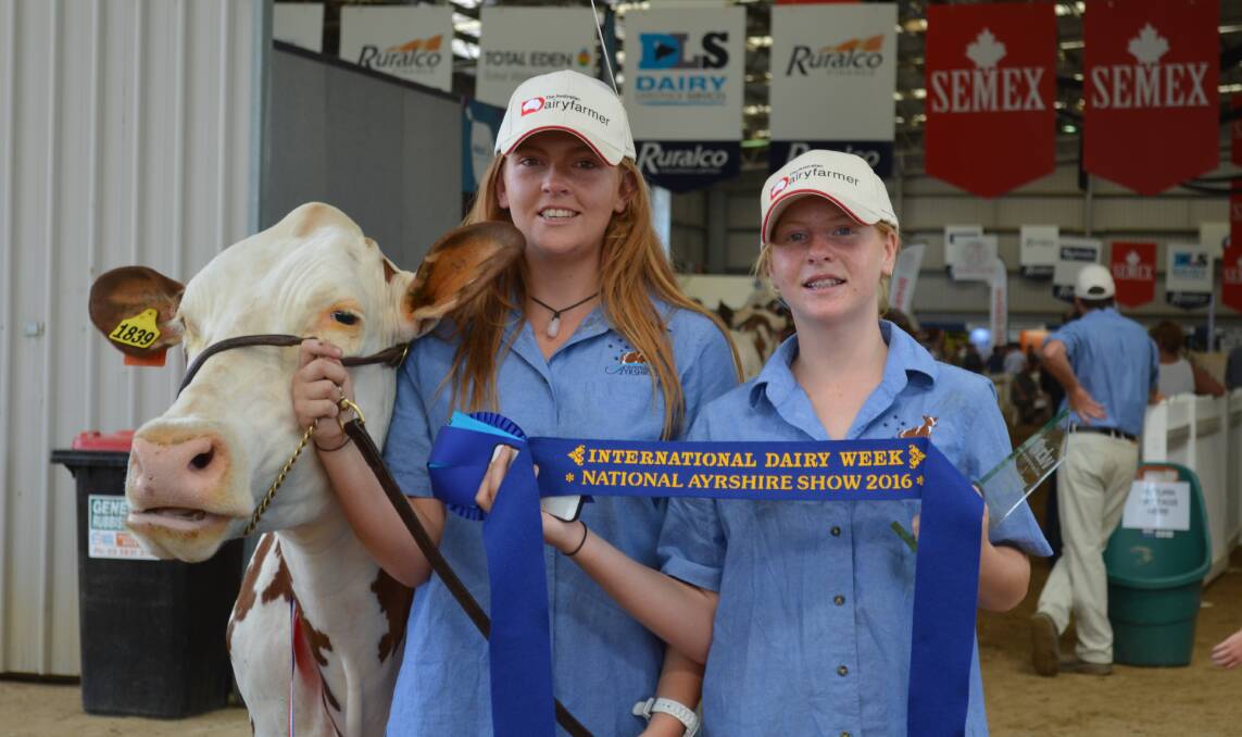 The intermediate champion Ayrshire Billabong Dreamer Bonny-C with exhibitors Tegan and Courtney Afford, Woods Point, South Australia.