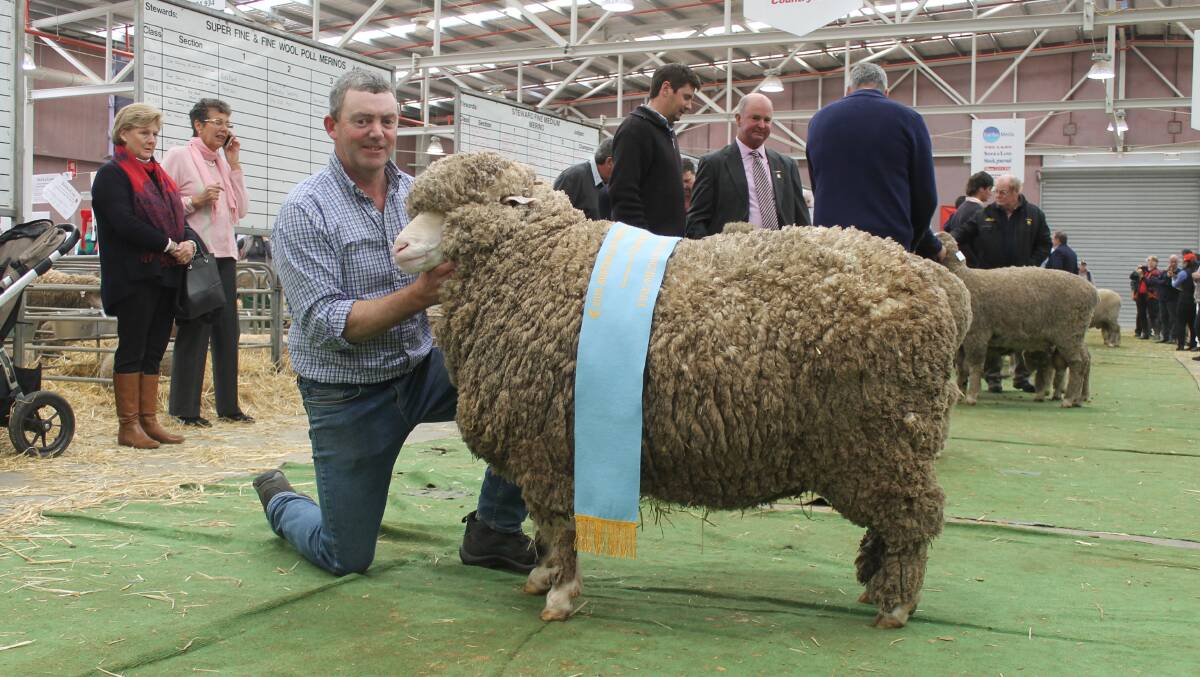 Richard Beggs, stud manager of Nareeb Nareeb Merino stud, Glenthompson, with their grand champion fine/medium wool ewe.