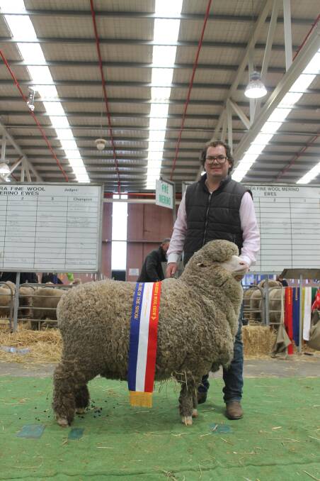 Grand champion superfine wool ewe was awarded to Grathlyn, Mudgee, NSW.