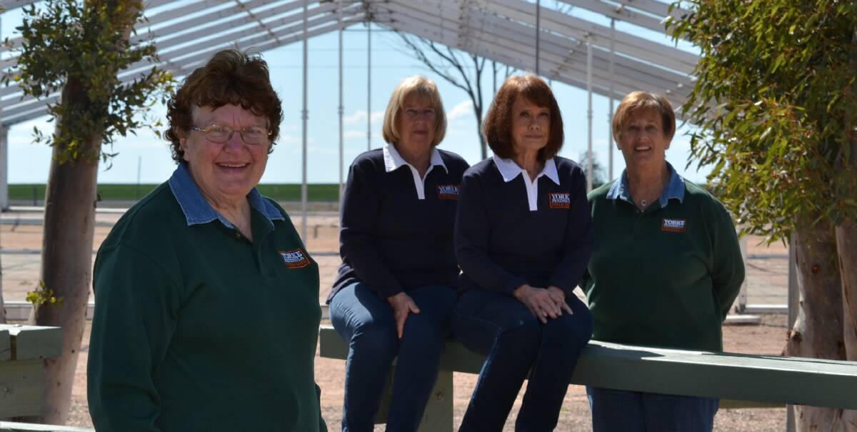 HAPPY: Yorke Peninsula Field Days chief executive officer Elaine Bussenschutt (second from right) with volunteers Dulcie Barker, Rosalie Pearce and Jenny Richardson. 