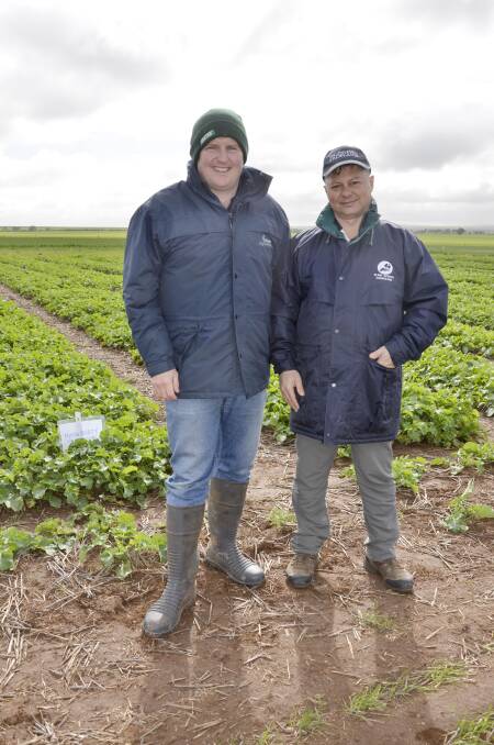 POSITIVES: Honner Agribusiness agronomist Simon Honner, Blyth, and University of Adelaide researcher Peter Boutsalis at the Hart Field-Site group winter walk last week.