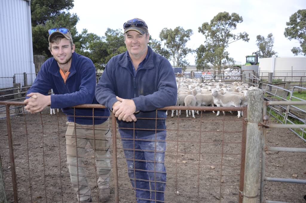 LESS HANDLING: Jack and Scott Crettenden, Karkoo, find White Dorper sheep do not require as much effort to manage compared with other sheep breeds they have previously run. Photos: PAULA THOMPSON.  