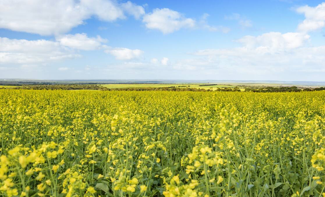 INVESTMENT OPPORTUNITY: Hassad Australia is selling its SA farming land on the Eyre Peninsula and Mid North by expressions of interest. It includes 7106 hectares at Cummins and Ungarra spread across 11 farms being marketed by Elders.