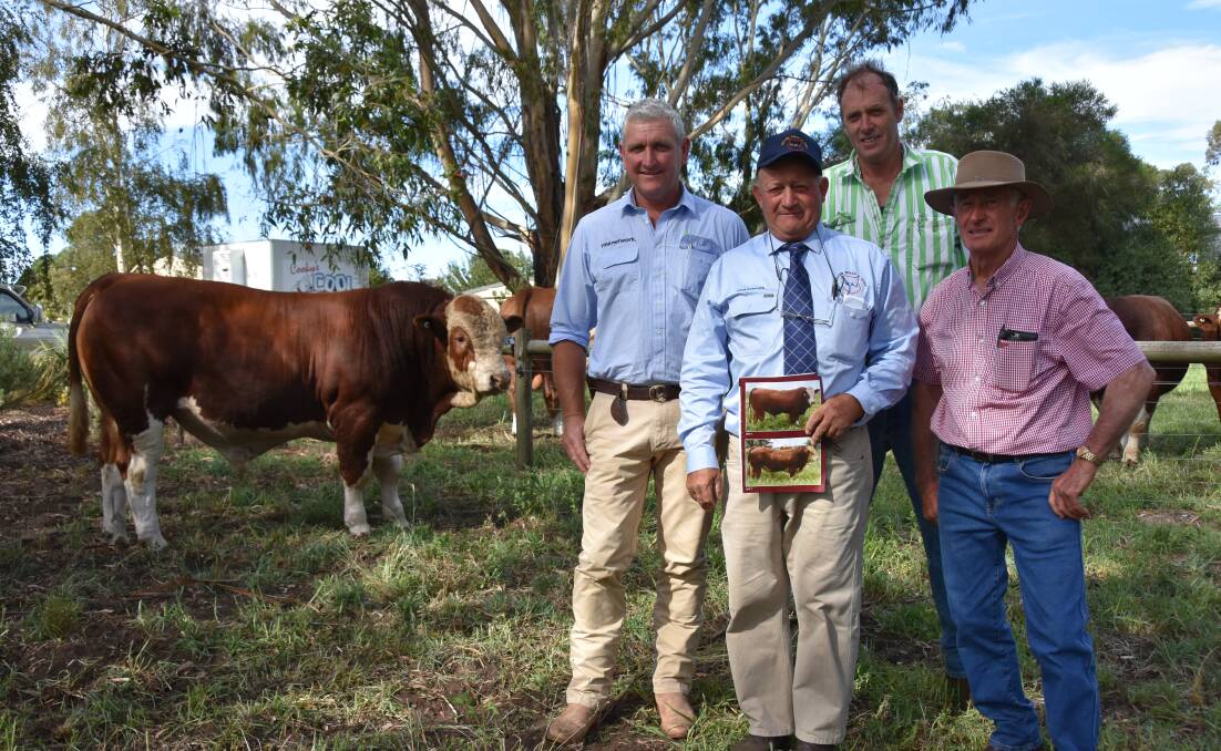 VIC BUY: Auctioneer Bernie Grant, Miller Whan & John's Peter Creek with the $9500 top price bull buyer Andrew Lyons, Balmoral, Vic, and Tugulawa's Gary Allen.