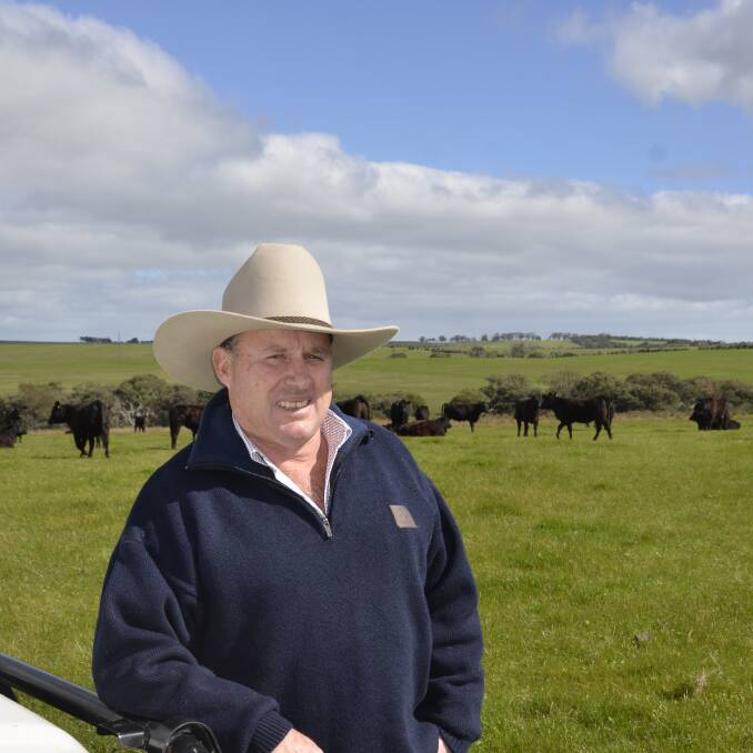 Kangaroo Island beef producer Bruce Creek has been appointed as the inaugural chairman of the SA Beef Industry Blueprint Working Group.