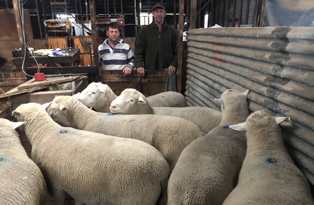 Bryce and Grant Hausler, Janmac stud, Goroke, Vic, who live just outside the cross border zone are hoping to be granted an exemption to hold an inspection day in SA ahead of their sale.