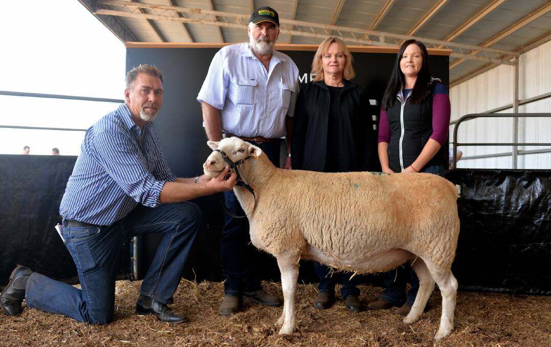 STUD RECORD: David Pipkorn with the $3600 equal sale-topper,  bought by Clive, Deb and Caitlin Shillabeer, Wingamin, Karoonda, in partnership with Prestige Farm, US.