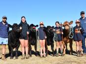 Winter Showdown organisers Ben Brooksby and Mason Galpin (right) with the Warrawindi Limousin team of Mia Gartner, Addison Wilson, Ruby Gartner and Sophie Wilson who are looking forward to the event. Picture by Catherine Miller