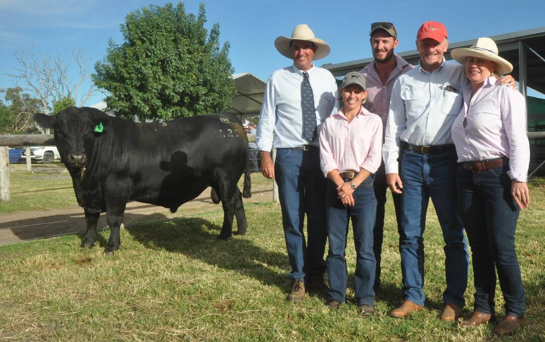 FREEDOM FIGHTER: Stuart and Natalie Hann, Nampara stud, Penola sold Nampara Freedom L21 to Trent Walker, Keringa Angus stud, Culburra and Jim Wedge and Jackie Chard, Ascot, Qld for $85,000.