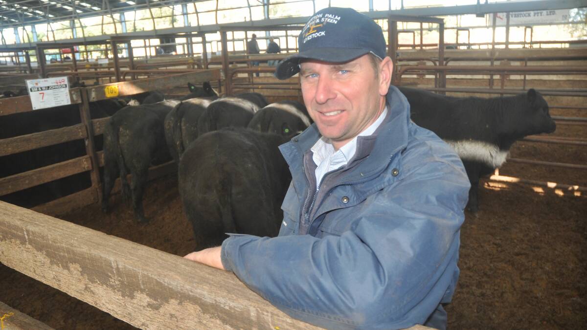Pinkerton Palm Hamlyn & Steen's Scott Bittner in a pen of Angus heifers from clients SM&WJ Johnsonwhich made $1380.
