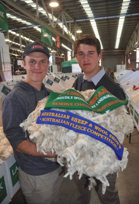 PROFITABLE DECISION: Thomas and Angus Halliday, Callowie stud, Bordertown, with their reserve champion Merino performance fleece. The section is for flocks with six to eight-month shearing cycles.