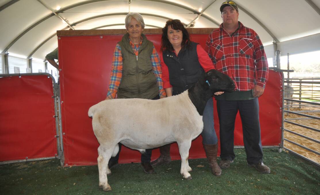 TOP PICK: Vendors Pat and Tanya Edson with buyer Danny Brumfield, Tailem Bend, and the $1800 top Dorper.