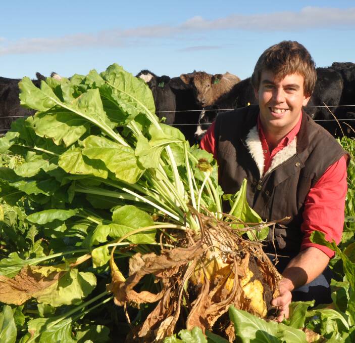 CHEAP FEED: University of Adelaide research associate Michael Wilkes says the aim of the fodder beet trial is to fill the feed gap to achieve consistent growth rates and higher MSA compliance during autumn/winter.