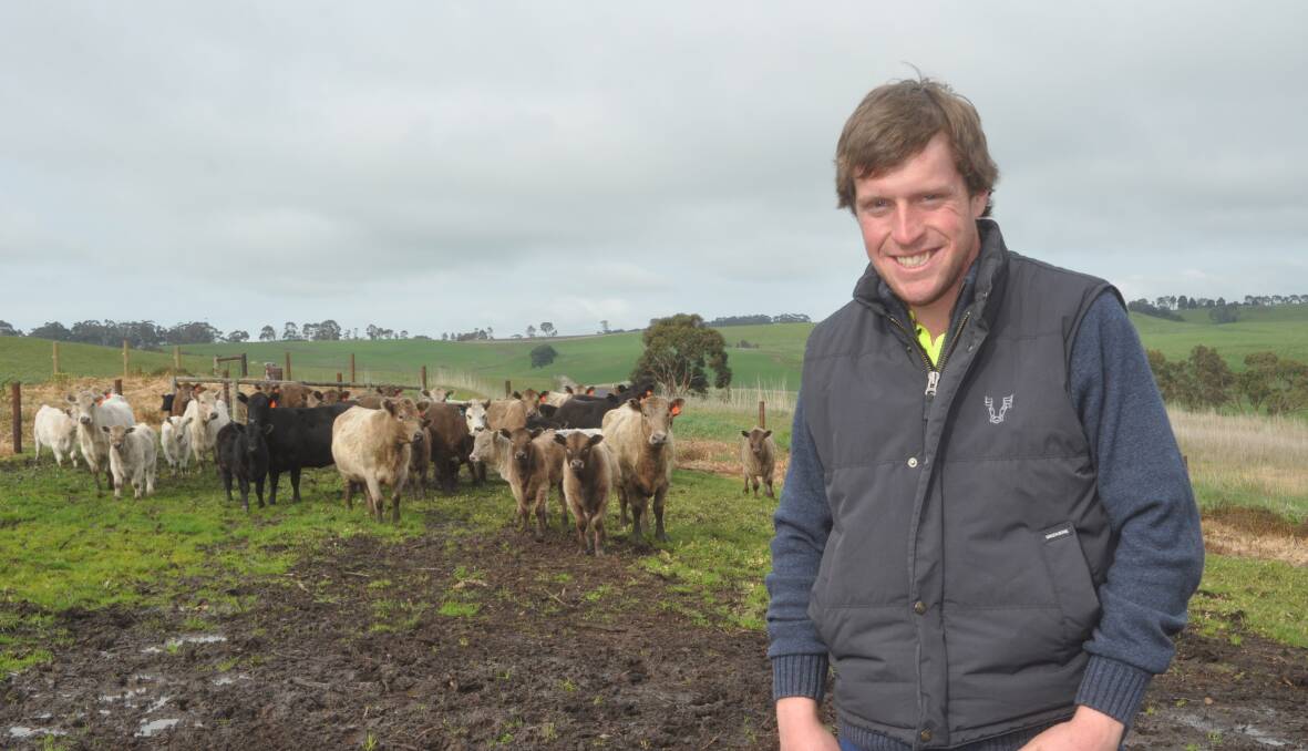 BETTER BEEF: Owen Edge, Phoines Pastoral, Casterton, Vic, with some of their Murray Grey cows.