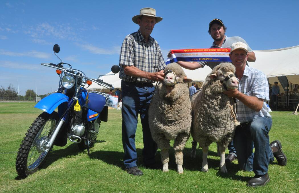 TOP DUO: Rex and Ian Koch, Bunyara stud, Moculta, with their winning all purpose pen of two ram lambs, being sashed by WSB Distributors' Fabian Dennis, Clare.