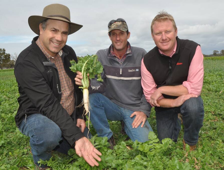 EXPERT: Cover Crop Solutions' Steve Groff with Cadgee farmer Nick Wight and Elders Naracoorte agronomist Jason McClure at a green manure trial site at Strathyre.