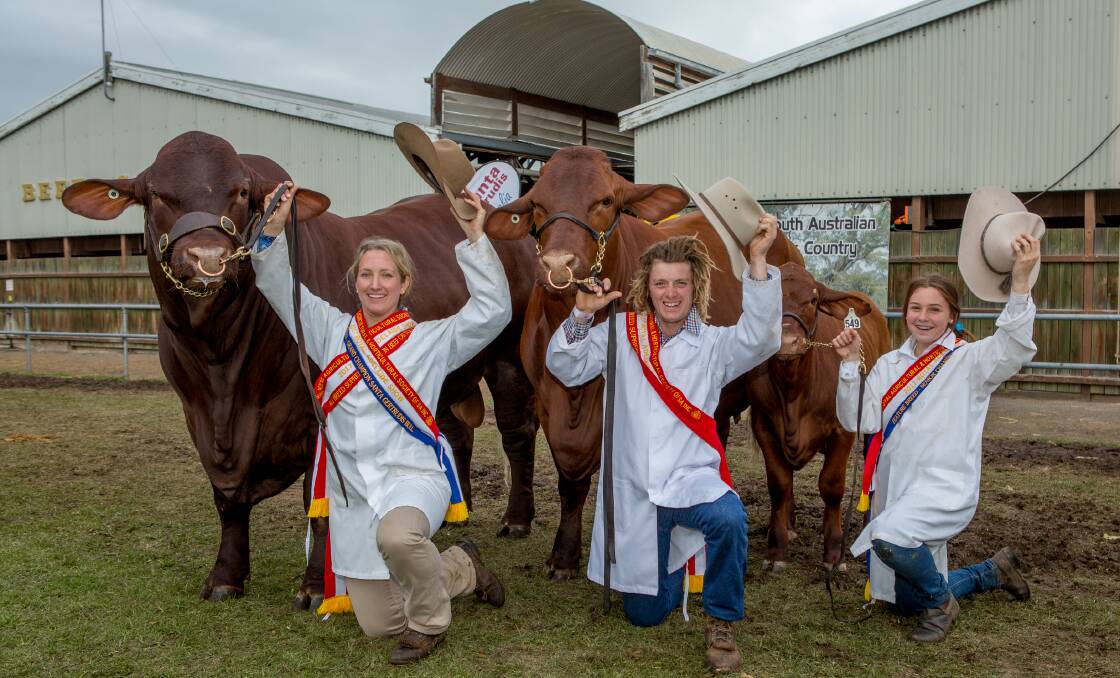 HATS OFF: Bridey Jonas, Yongala, Kylen Malycha, Redhill and Peggy Jackson, Warnertown with the all breed grand champion pair, Yarrawonga Fixer and Yarrawonga Fifi from Yarrawonga Santa Gertrudis stud, Qld.