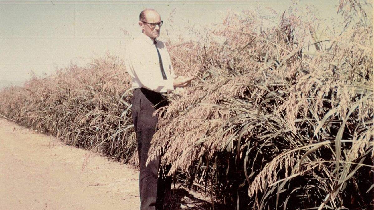 NEW WAYS: Churchill fellow Ron Badman, Koppamurra, inspects a crop in the United States during his 1967 tour looking at weed control and irrigation practices.