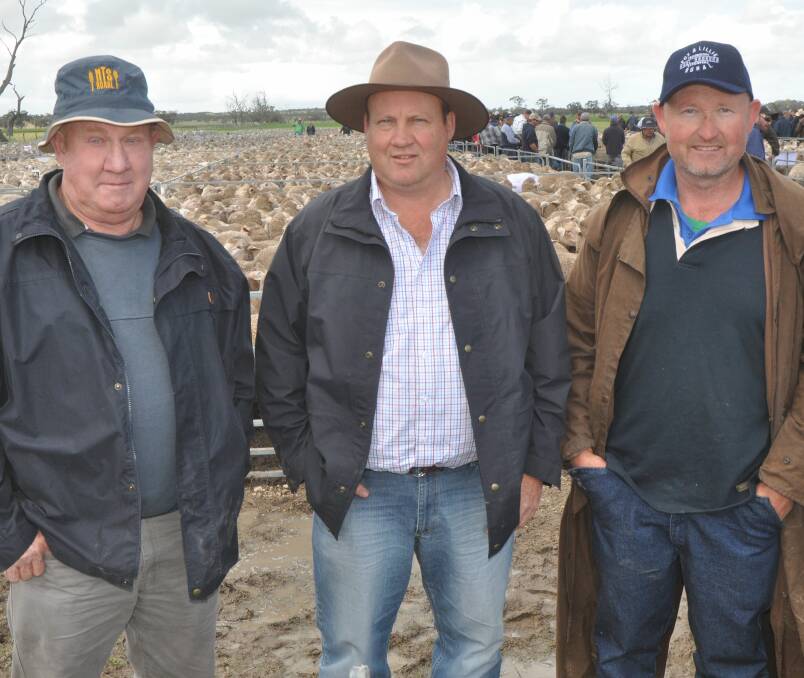 DEBUT VENDORS: Richard and Anthony Barr and Tim Moulds, DS Barr Farms, Balaklava, were first-time sellers at Keith, receiving $254 for their 251, 1.5-year-old ewes.