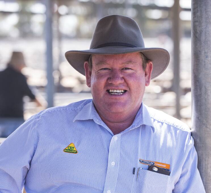 Platinum Livestock director Wayne Hall says the merger of Platinum Livestock and Southern Australian Livestock makes good business sense.