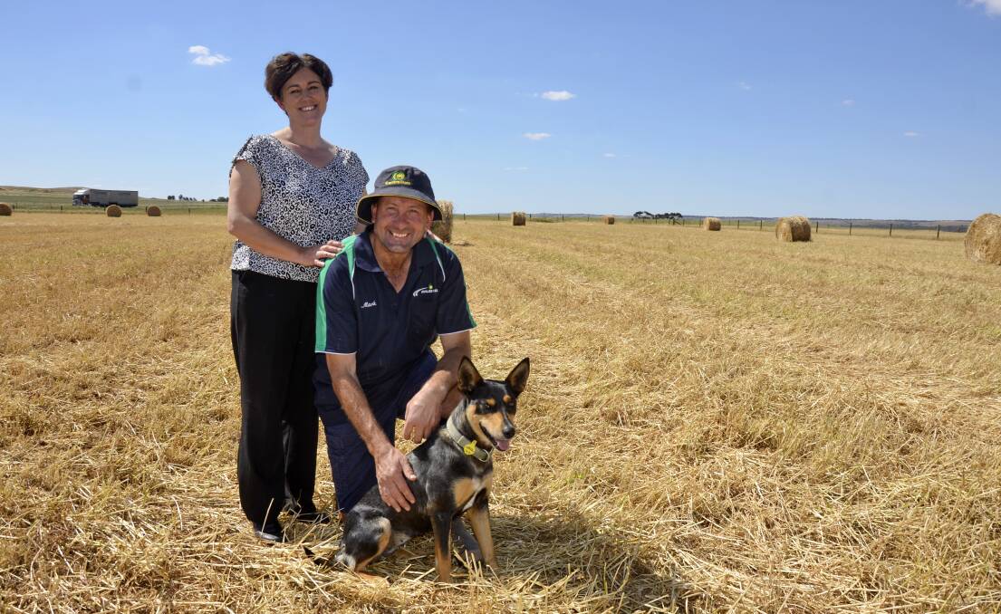 ON A ROLL: Vicki and Mark Jaensch, Callington - pictured with dog Sparks - finished baling hay this week and were pleased with their yields. 