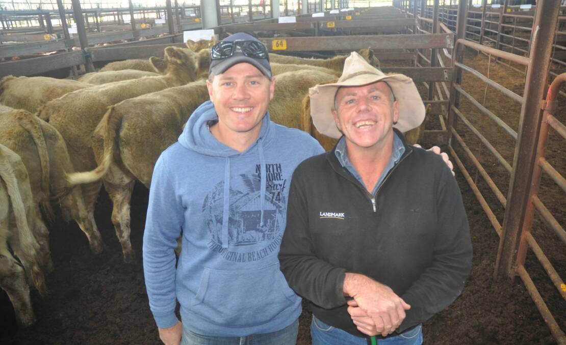 Frances Dairy manager Tim Nowell with Landmark Naracoorte livestock manager Brendan Fitzgerald, in the top priced heifers from Frances Dairy, which made $1416.