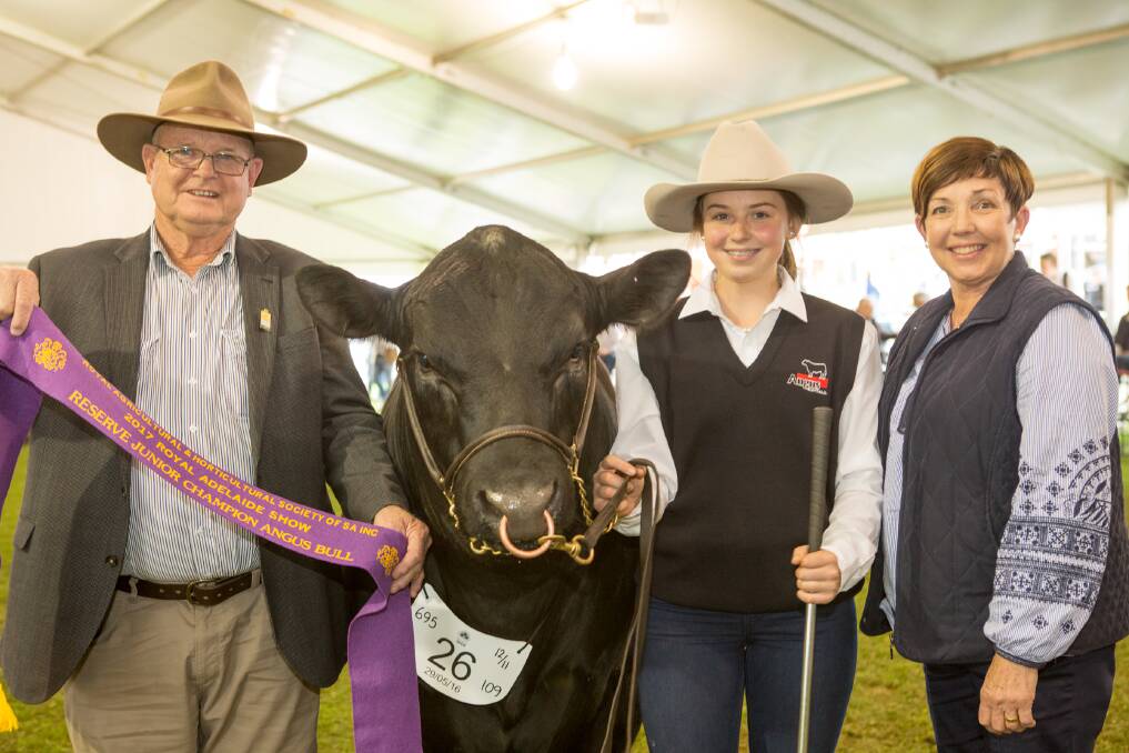 DEBUT SUCCESS: Peggy Jackson (centre) holds reserve junior champion Angus bull Goolagong Goldmark M42 with grandparents Brian and Diane Tiller, Goolagong stud, Warnertown.