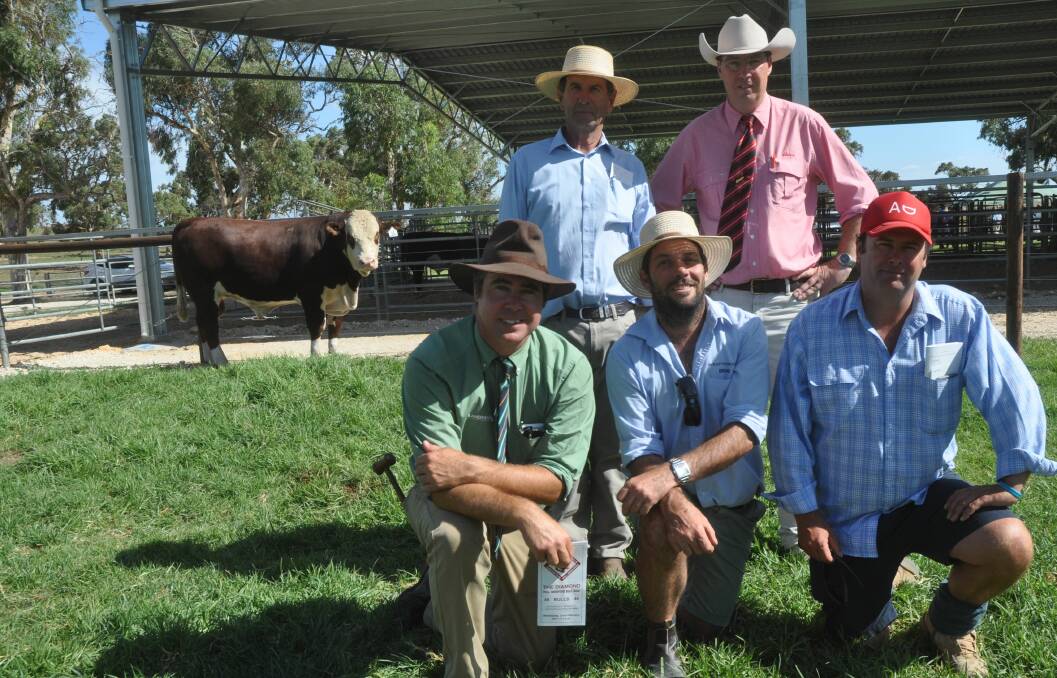 STAND OUT: Rod and Brad (middle front) Davies, Wrattenbullie stud, Naracoorte,  Elders Ross Milne, Landmark's Richard Miller and Alastair Day, Allendale stud, Bordertown with the $21,000 sale topper.