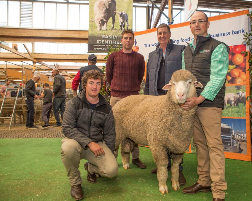 Buyers Jesse Hull, Minta stud, Mount Cooper and Jayden Harris, Brimanna stud, Cummins, with the sale's $36,000 second top priced ram and Paul Cousins, Cousins Merino Services, Burra and James Sullivan, Greenfields, Hallett.
