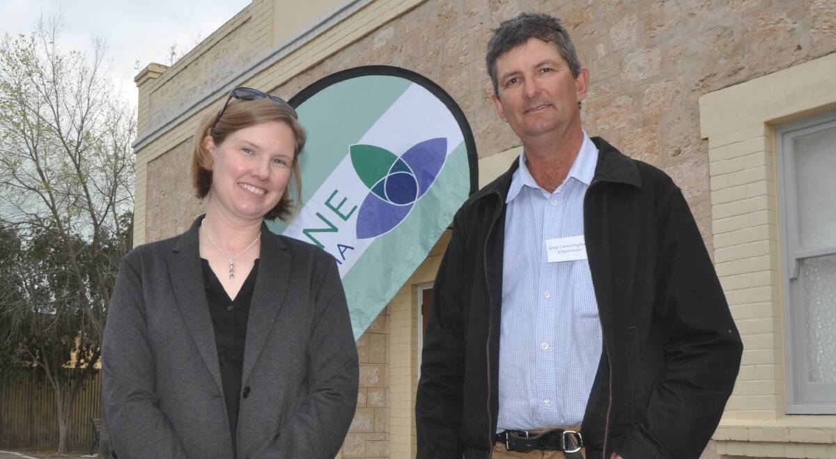 SEEKING ANSWERS: NSW DPI entomologist Ainsley Seago and Lucerne Australia chairman Guy Cunningham discuss the seed wasp project.