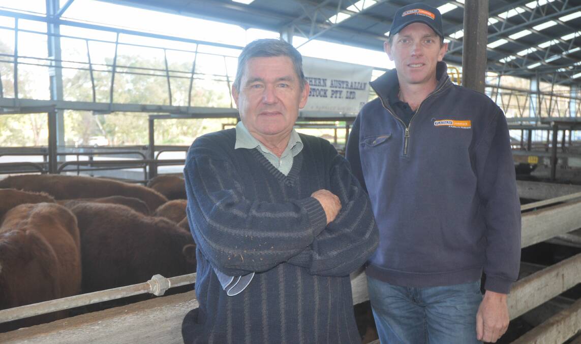 Neil Hagger, Willalooka, with agent Simon Rosenweig, Platinum Livestock, Keith, sold two pens of rising two-year-old EU South Devon-Hereford-Angus cross heifers due to calve in July to September. The 11 reds made $1380 and 10 blacks made $1300.