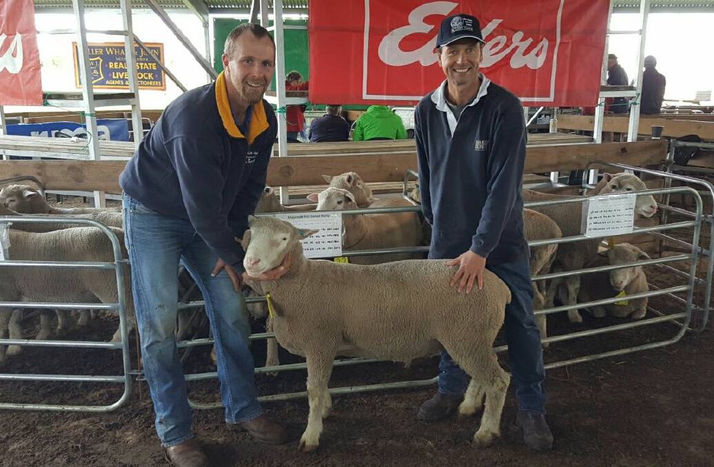 GOOD PRICE: Majardah stud's Adam Price with buyer of the two $1950 top price rams Paul Longbottom, Boatswains Point. The ram was used in Majardah's stud as a lamb.