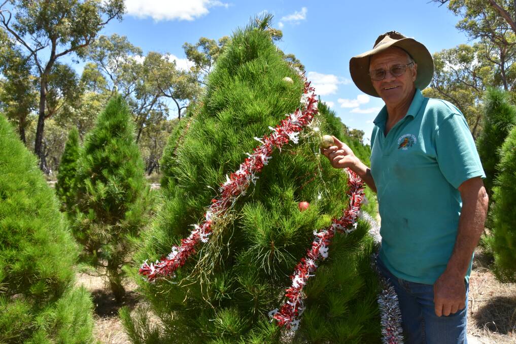HAPPY MEMORIES: Chris Schmidt, Langkoop Xmas Trees, Langkoop, Vic, began growing Christmas trees six years ago and says it is a great thrill watching the faces of children running down the rows picking a tree.