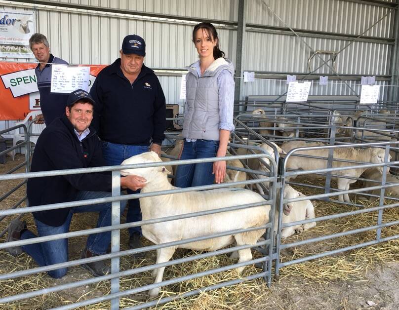 EASY CARE: PPH&S's Paul Kinnaird with client and volume buyer David Muster, Pinnaroo, and Ashdor stud principal Sheree Heading at the Keith sale.