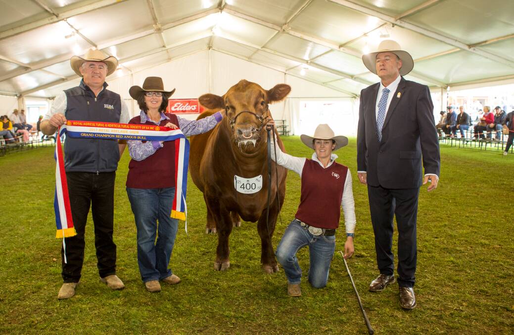 Daniel, Michele and Rachael Wheeler, RDM Angus stud, Wellington, NSW, with their  supreme Red Angus exhibit RDMG Red Solo Cup L6 and judge Peter Falls, Finley, NSW.