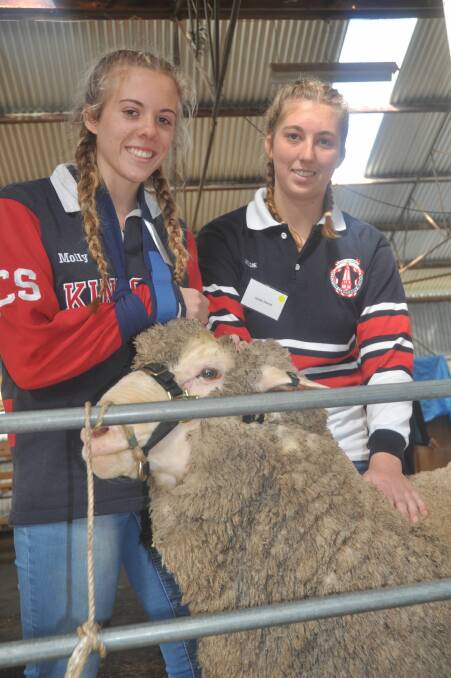 PRACTICAL LEARNING: Kingston Community School students Molly Murdock and Jessie Daniel learn the finer points of judging Merino sheep.
