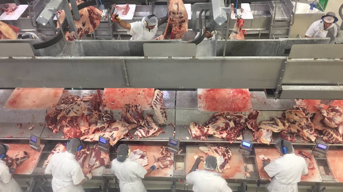 SUSPENDED: tafeSA's Certificate II in Meat Processing (Abattoirs) is among 14 courses suspended after a national audit found it did not meet national standards.