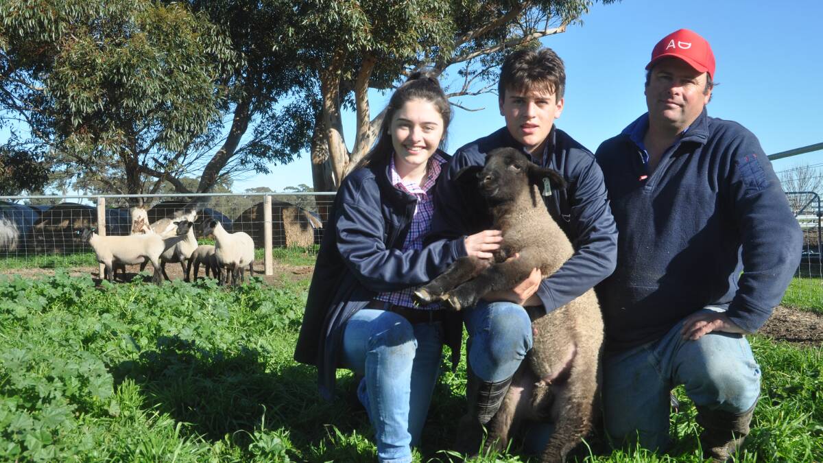 FAMILY DYNASTY: Eliza, Angus and Alastair Day, Allendale stud, Bordertown, are looking forward to exhibiting Suffolks at the feature breed show against sheep from SA, Vic, Tas, NSW and WA.
