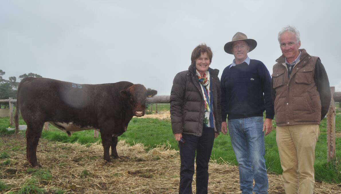 BAYVIEW'S BEST: Guest vendor Chris Thompson, Bayview stud, Yorketown (middle) with $14,000 buyer Amanda and Steve Barlow, Toogimbie stud, Mathoura, NSW.