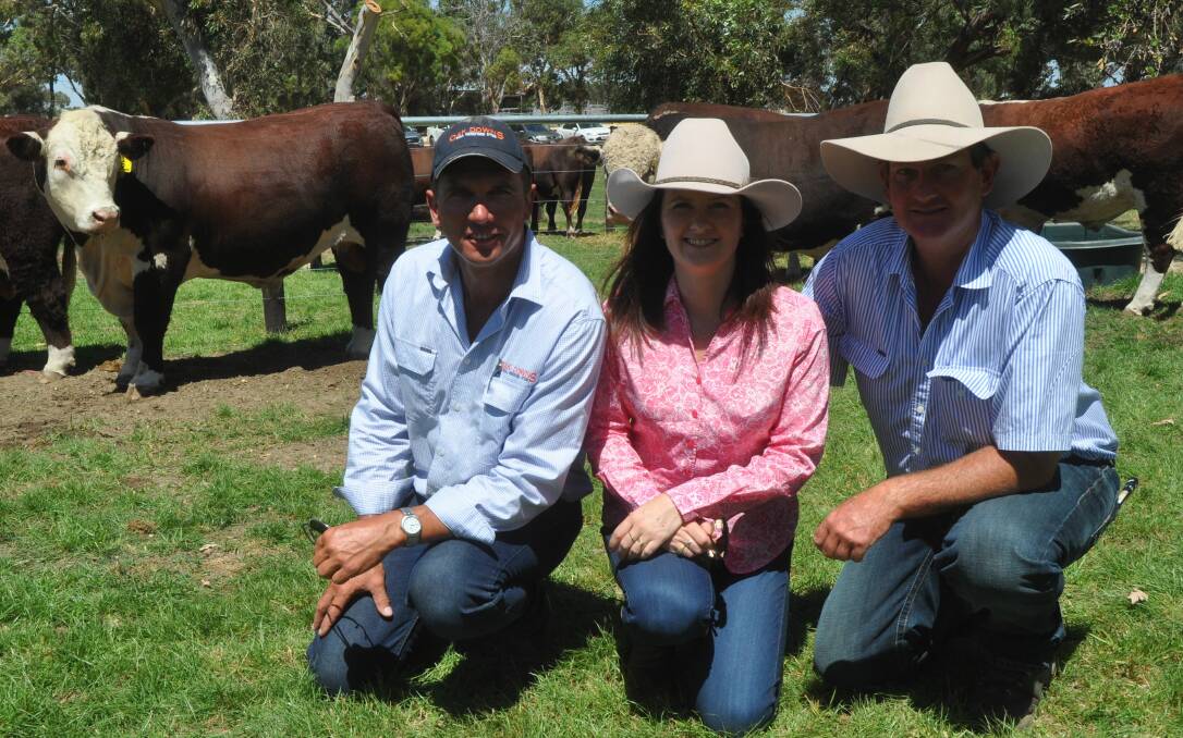 STUD SIRE: Oak Downs' Andrew Schwarz with Deanne and Peter Sykes, Mawarra stud, Longford, Vic who bought the $18,000 sale topper with Talbalba stud, Qld.