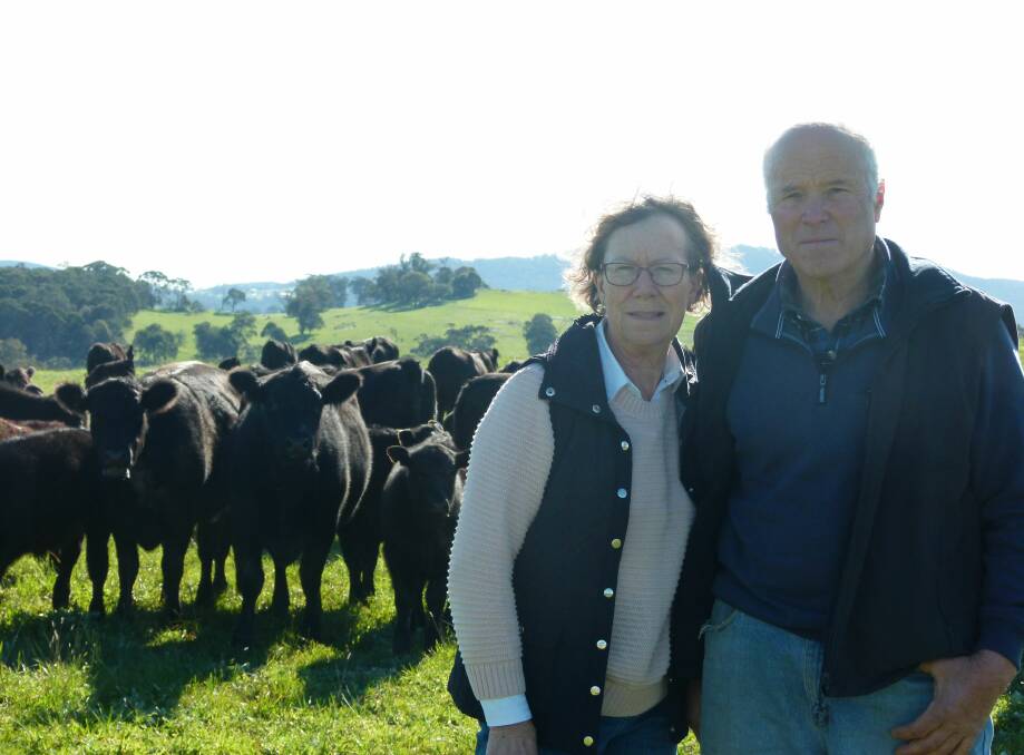 HIGH PERFORMANCE: Annette and Harold Cocking, Euroa,Vic, were the inaugural winners of the champion team with some AI-bred Angus steers from their stud females.